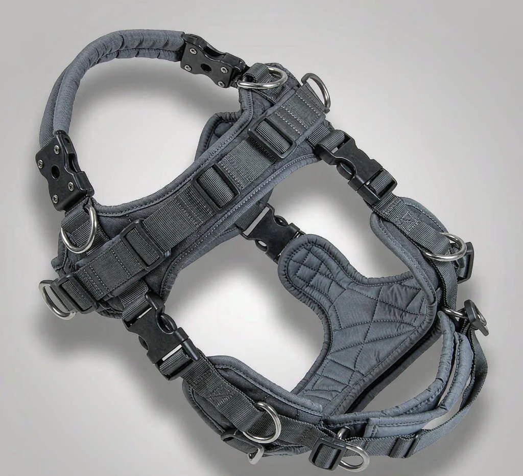 Multi-point training harness