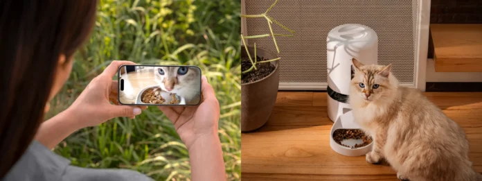 Pet Industry Innovation: From “Emotional Companionship” to “Tech Symbiosis” – A Trillion-Level Leap