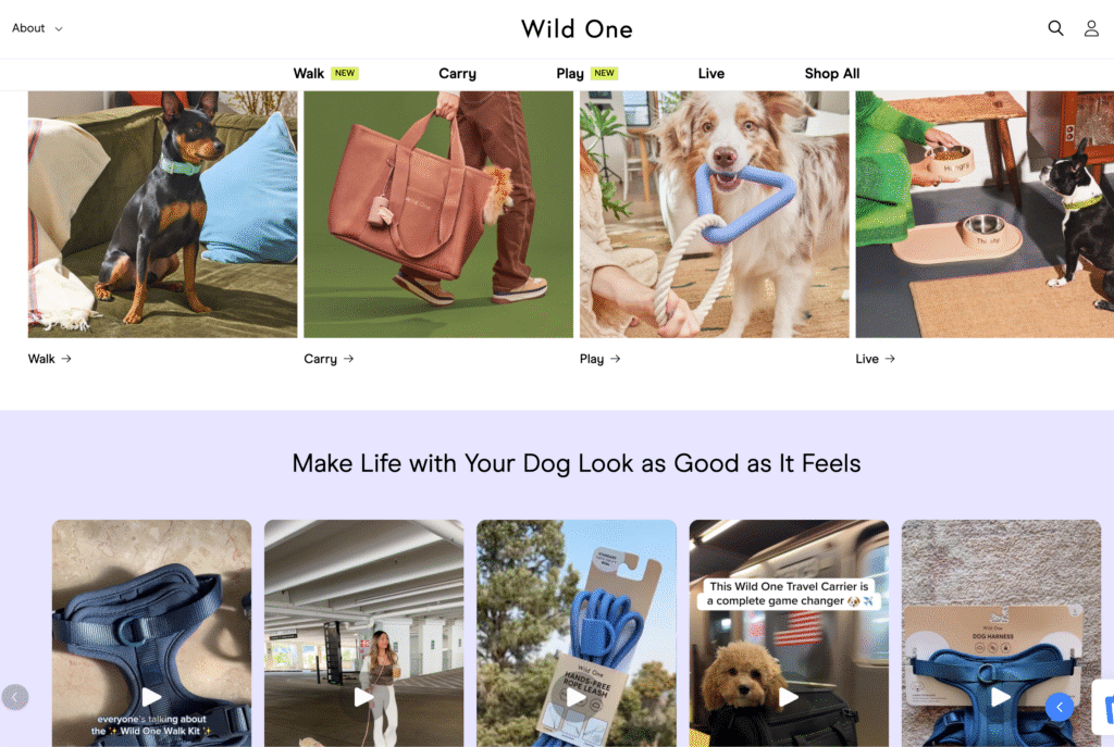 wild one online store