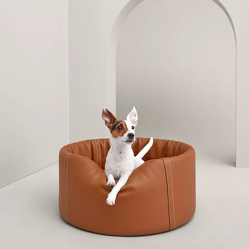 Small dog sitting inside a round brown Hermès Patapouf leather dog bed in a neutral modern interior