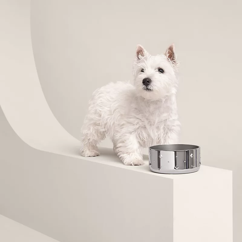 White fluffy dog standing next to a stainless-steel Hermès Punch dog bowl on a curved white display.