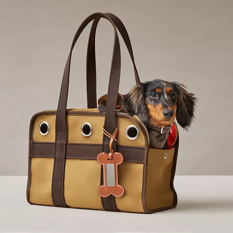 Hermès luxury pet travel bag displayed in a clean light-colored studio environment.