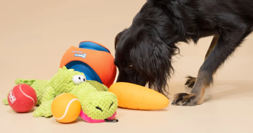 The Top 10 Best-Selling Pet Plush Toys on Amazon in 2025