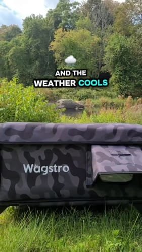 Dual-door heated cat shelter with waterproof roof and safety escape design by Wagstro
