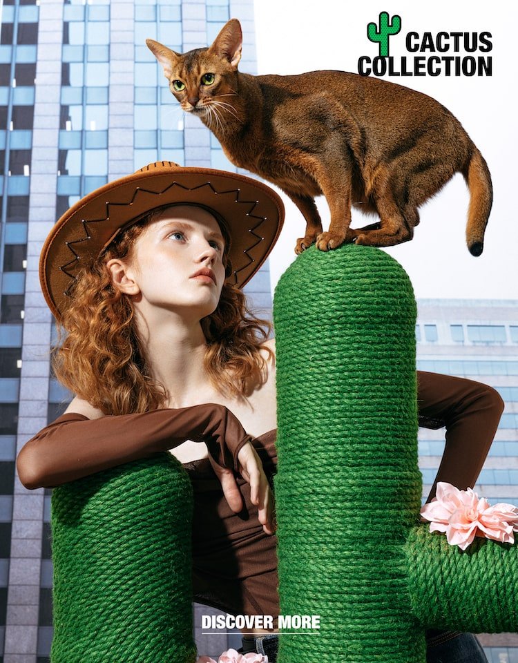 Vetreska cactus cat tree – stylish modern cat furniture that blends into home décor, aesthetic pet supplies for design-loving cat owners