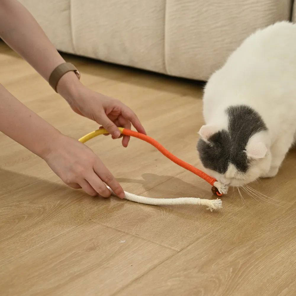 Dgerp natural catnip rope chew toy set for cats