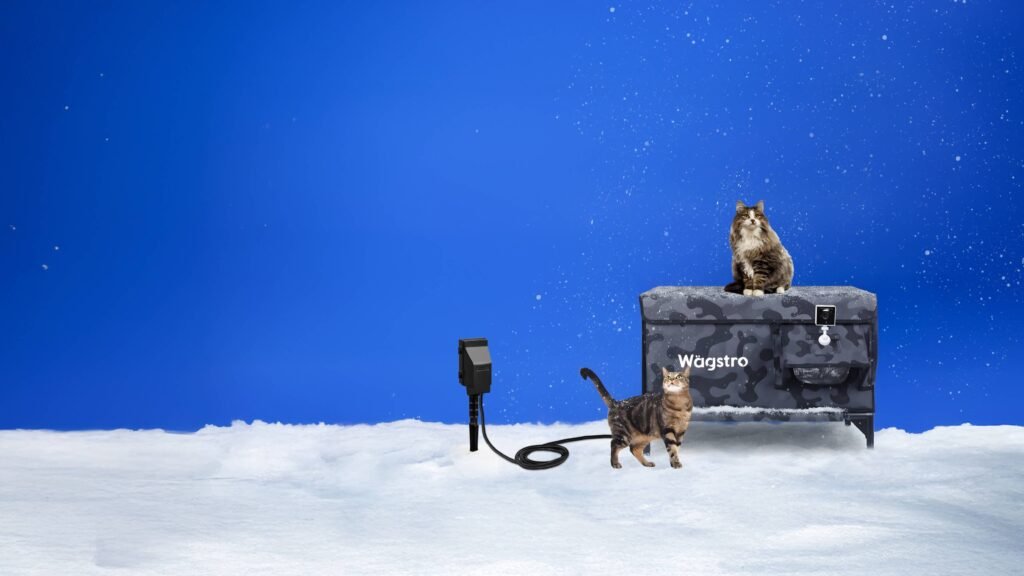 Backyard setup with multiple Wagstro heated cat shelters for stray cats