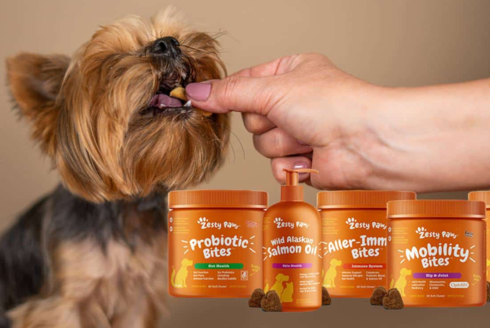 Zesty Paws Brand Analysis: The Soft-Chew Giant Generating $15M a Month