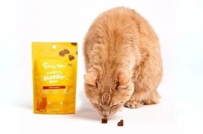 A Brand Built for the New Era of Pet Wellness