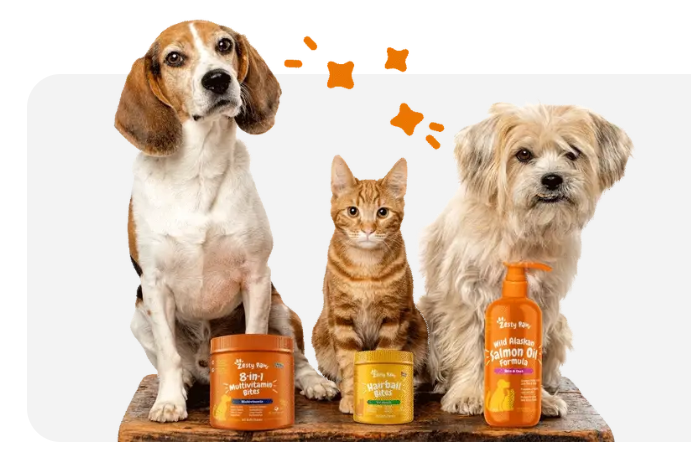 A Brand Built for the New Era of Pet Wellness