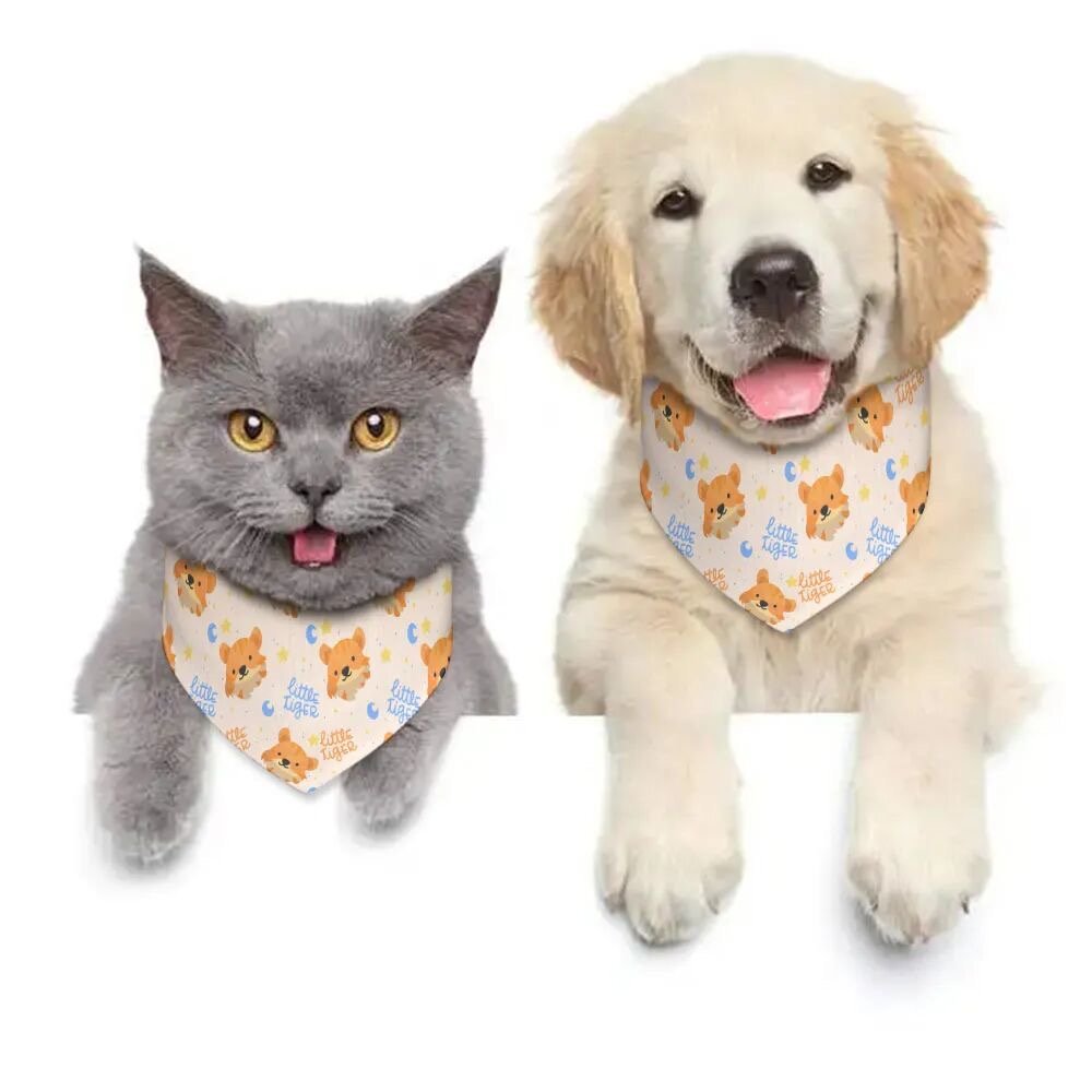Custom pet products assortment including personalized collars, apparel, bowls, harness sets, accessories, beds, and memorial items, showcasing the rising POD trend in the global pet industry.