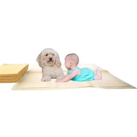 Yiyi pet training pads displayed in retail packaging — ultra-absorbent and leak-proof design for dogs and puppies.