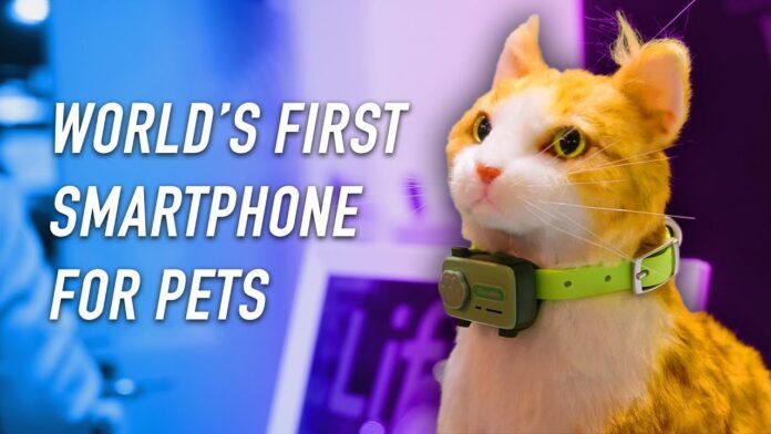 smartpetphone