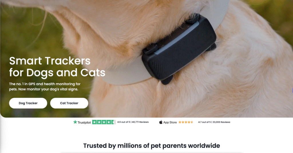 Tractive Pet Tech Brand Analysis