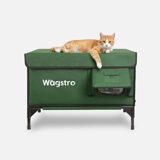 Dual-door heated cat shelter with waterproof roof and safety escape design by Wagstro
